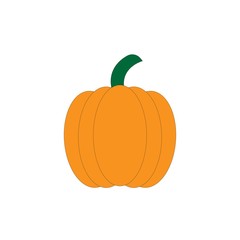 Pumpkin vector, icon on a white background