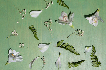 White Alstroemeria on the green wooden background.