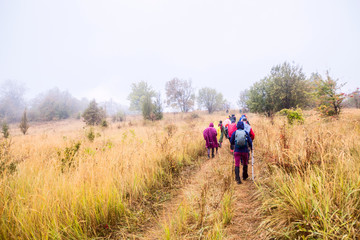 Healthy Lifestyle People Hiking In Nature