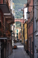 typical multi storey buildings and a narrow street, Moneglia, Genoa Province, Liguria, Italy
