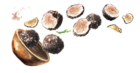 Bowl with black truffles mushrooms. Hand drawn horizontal watercolor illustration, isolated on white background