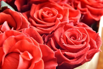 Red roses background. Bouquet beautiful red roses with selective focus in craft paper. Luxury bouquet made of amazing red roses. Valentines Bouquet of red roses. Present for Mother’s Day. 