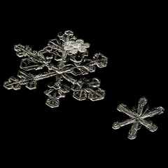 real snowflakes on a black background