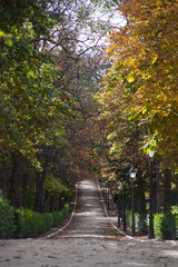 camino del parque de El Retiro en otoño