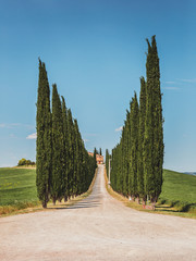 Tuscany Landscape