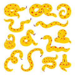 Vector illustration in cartoon style. Anaconda, snake, python. Set. Isolated on a white background