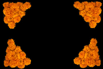 frame made of (Tagetes erecta) called specific tagete, and known in Mexico as cempasúchil, cempoalxóchitl, cempaxóchitl, cempoal (or zempoal), flower of the dead, black back