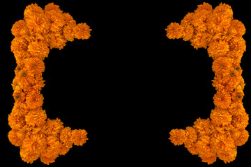 frame made of (Tagetes erecta) called specific tagete, and known in Mexico as cempasúchil, cempoalxóchitl, cempaxóchitl, cempoal (or zempoal), flower of the dead, black back