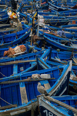 Fototapeta na wymiar Boats of Moroccan fishermen in the port