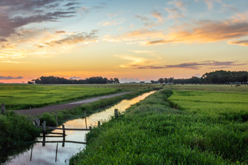 Landscape with Stream at Sunset