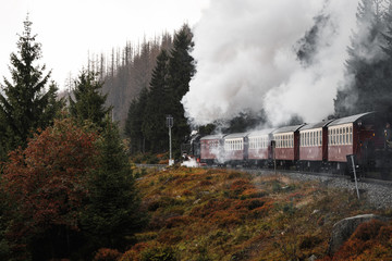 Fototapeta premium Antique and original Harz steam locomotive passing through the fog and steam during a moody autumn day with orange trees and dark smoke (Harz, Germany)