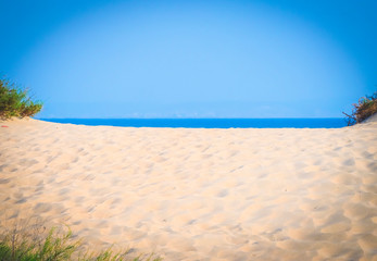 Fototapeta na wymiar OSandy beach near sea on sunny day