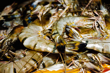 Plateful of fresh uncooked shrimps. Raw prawns closeup. Healthy delicious seafood dinner lunch. Diet concept. Sea food background. Natural protein. Horizontal. Organic gourmet meal. Srilankan cuisine