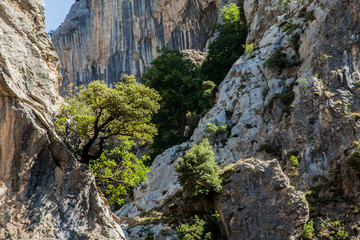 paisaje en Ruta del Cares entre Asturias y León