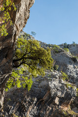 paisaje en Ruta del Cares entre Asturias y León