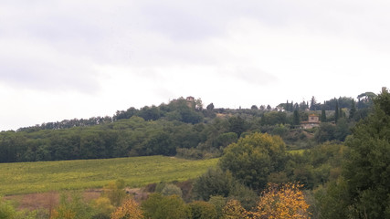 Fototapeta na wymiar Tuscan field on a cloudy day