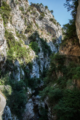 paisaje en Ruta del Cares entre Asturias y León