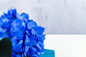 Blue bouquet on a white background. bouquet of iris flowers. The flowers are saturated blue. view from above. Place for writing. © SYARGEENKA