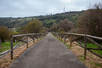 camino con valla de madera en día nublado