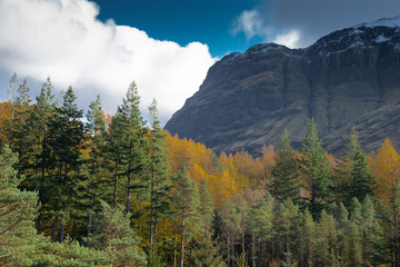 one of three sisters, glencoe, lochaber, highlands, scotland, UK