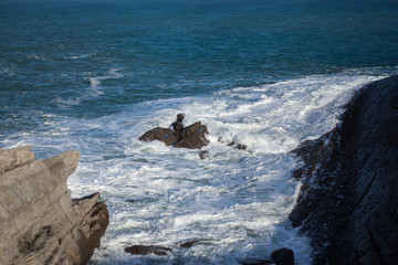 olas rompiendo en acantilado de Santander