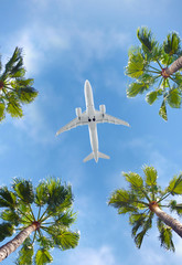 Passenger airplane flying above the tropical palm trees. Bottom view of the aircraft.
