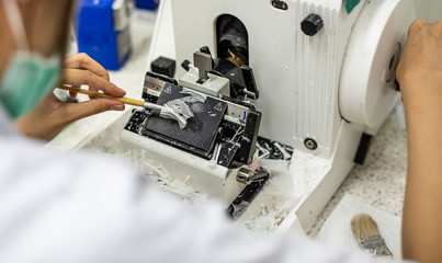 Pathological officers are preparing a biopsy for diagnosis by a pathologist.