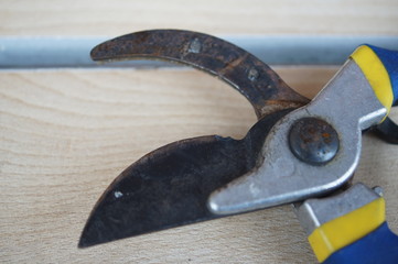 to cut trees in the garden