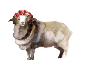 Cute watercolor sheep on the white background with flowers