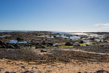 Beach in Iceland