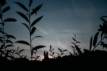 Silhouettes of a young couple lovers at sunset on dramatic sky background. Place for text or...