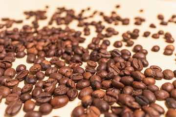 beans of coffee close up