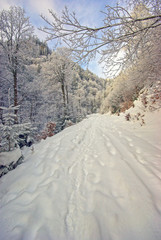 Fototapeta na wymiar Fresh snow on mountain road