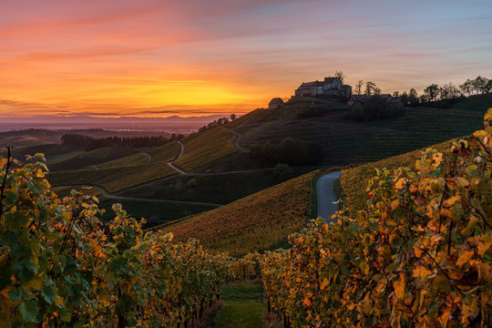 Castle Staufenberg in Durbach Germany in the BlackForest Mountains with a vineyard and an old chapel during sunset at golden hour	