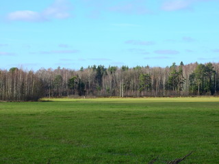 Autumn landscape in sunny conditions out in the field