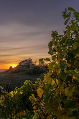 Castle Staufenberg in Durbach Germany in the BlackForest Mountains with a vineyard and an old chapel during sunset at golden hour	
