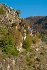 Upper and rocky part of Mount Faito, covered by vegetation