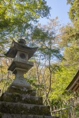 Fototapeta premium 石灯籠