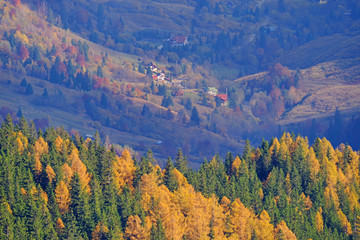 Autumn trees and village behind