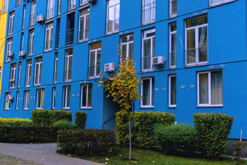 Cozy alley in front of the house