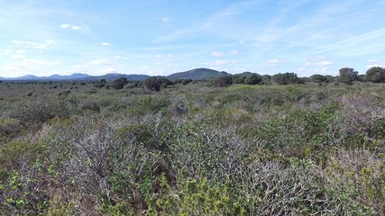 Beautiful nature of Majorca.