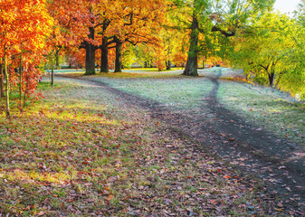 Obraz premium Wide hiking trail in the park is divided into two narrow, diverging in different directions