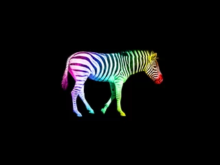 Gardinen Regenbogen gestreiftes Zebra auf schwarzem Hintergrund isoliert © ANGHI