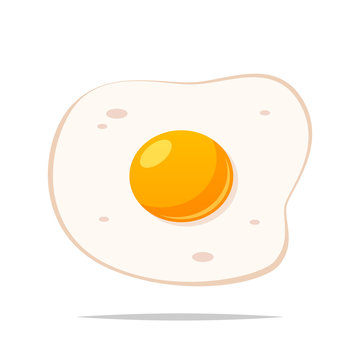Fried egg vector isolated illustration