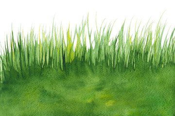 Abstract green like grass watercolor textured background on a white isolated background