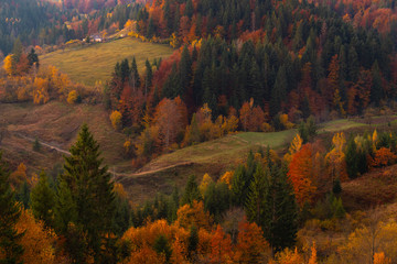 Autumn foliage trees in the mountains Meadow with haystack