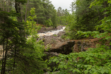 River winds through a summer forest