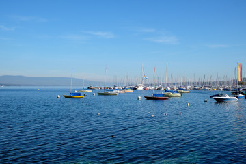 Obraz premium Boats off the coast on Lake Geneva. Geneva, Switzerland..