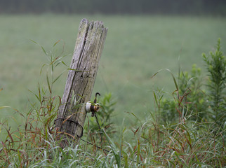 Old fence post on a hazy day