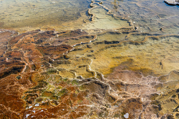 Lower Terrace Mammoth Hot Springs, Yellowstone